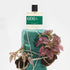 Άρωμα 601 Bon Parfumeur (Eau De Parfum) / Περγαμόντο - Κέδρος - Αγριάδα